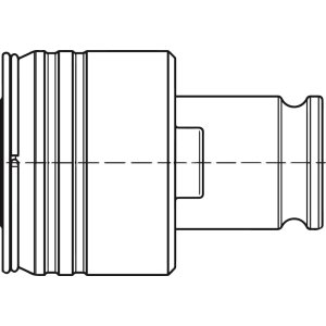 pre526304